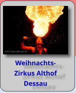 Weihnachts- Zirkus Althof Dessau