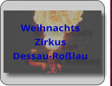 Weihnachts  Zirkus Dessau-Roßlau