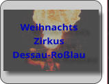 Weihnachts  Zirkus Dessau-Roßlau