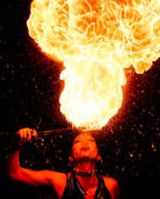 Add your one line caption using the Image tab of the Web Properties dialog